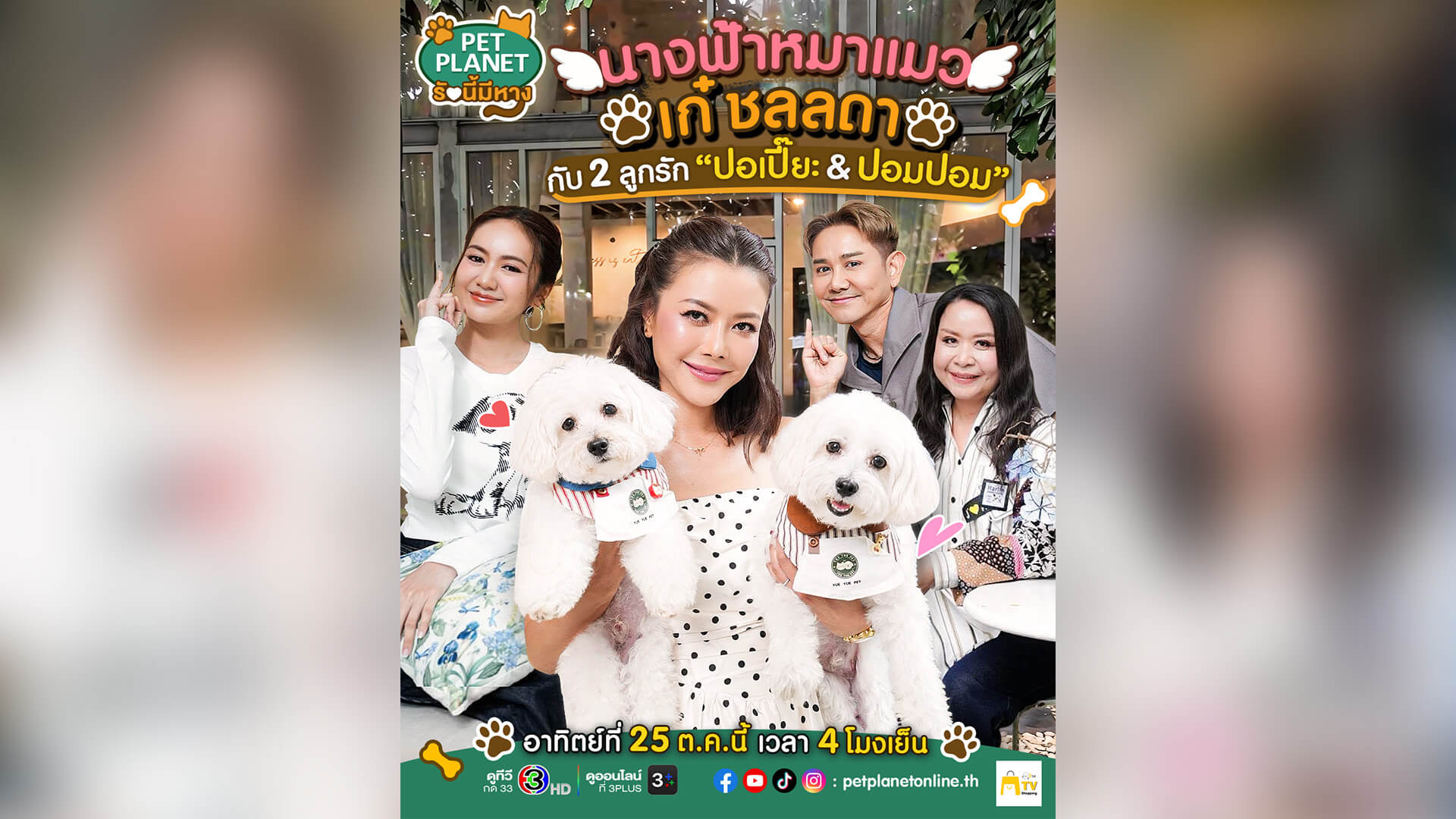 นางฟ้าหมาแมวตัวจริง! “เก๋ ชลลดา” กับภารกิจเติมรักให้เพื่อนมีหาง 🐶❤️
