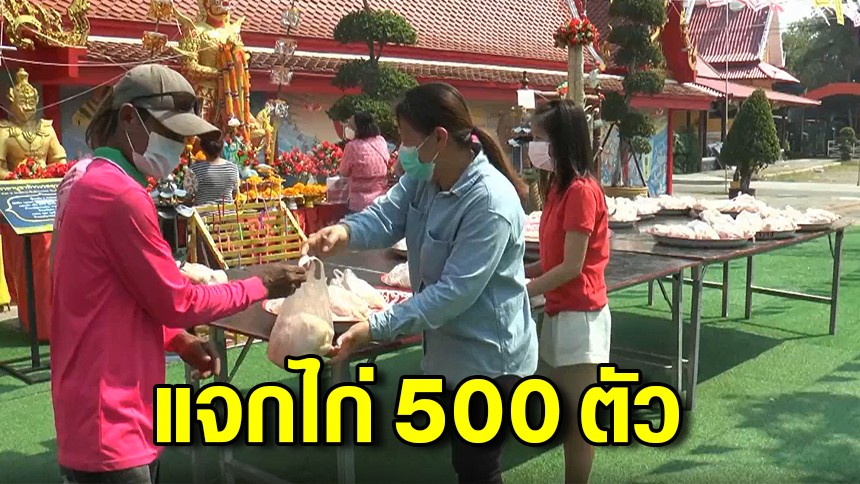 ชาวสวนส้มโอ แม่กลอง ได้โชค 3 แสนบาท ซื้อไก่สด 500 ตัวแจกชาวบ้าน