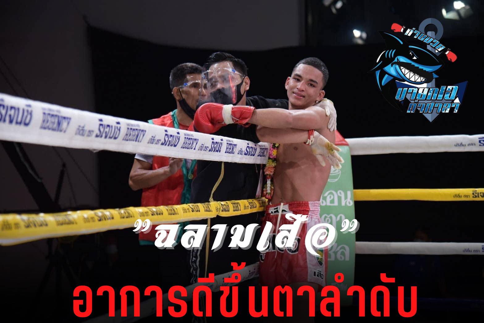 ค่ายแจง ฉลามเสือยังไม่เสียชีวิต หลังประสบอุบัติเหตุ